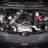 <p><img alt="" src="https://www.forgemotorsport.co.uk/userfiles/images/sys/products/Induction_Kit_for_Fiat_500595695_20399jpeg.jpg" /></p>
