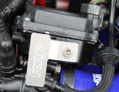 <p>These clamps retain and protect the brake vacuum connection and the pressure sensor. They really are a worthwhile investment if you don't want to breakdown.</p>