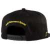<p><span style="color:#000000;">A black