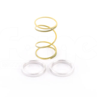 <p>These are the individual springs and shims sold in our FMWCSPK kit for our 44mm wastegate FMWCW1.</p>