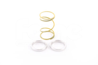 &lt;p&gt;These are the individual springs and shims sold in our FMWCSPK kit for our 44mm wastegate FMWCW1.&lt;/p&gt;