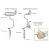 Cobra Sport performance exhausts enhance the sound