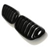 Double slat style kidney grilles
