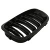Double slat style kidney grilles