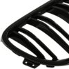 Double slat style kidney grilles