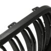 Double slat style kidney grilles