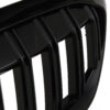 Double slat style kidney grilles