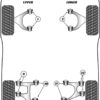 Powerflex Front Upper Wishbone Bush - Quattroporte III (1979 - 1990) - PF17-200