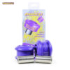 Powerflex Front Arm Rear Bushes - Punto MK2 (1999 - 2005) - PFF16-602