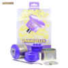 Powerflex Front Lower Radius Arm to Chassis Bushes Caster Adjustable - Continental GT (2003 - 2011) - PFF3-702G