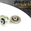 Caster Adjustable - Transit / Tourneo Connect Mk3 (2021 ON) - PFF3-902GBLK