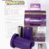 Powerflex Front Lower Wishbone Front Bushes - Shogun 2000-2006 (V7* Models) - PFF44-302