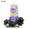 Powerflex Front Radius Arm to Chassis Bushes Caster Offset  - F10