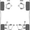 Powerflex Rear Upper Wishbone Inner Bush - 456 (1992 - 2003) - PFR17-611