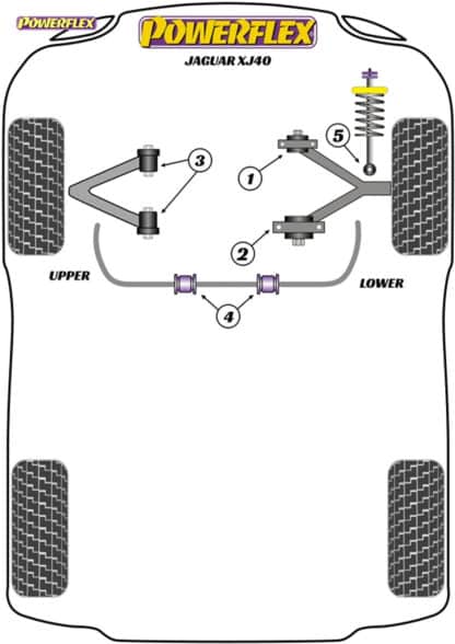 Powerflex Rear Diff Strut Bush - XJ6