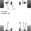 Powerflex Rear Link Arm Inner Bushes - 997 GT2