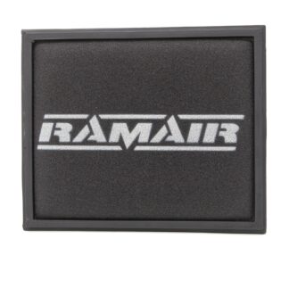 <p><em>This is a replacement panel filter for VW Audi and BMW