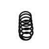 Fitting PositionFront AxleSpring DesignCoil SpringSuspensionfor vehicles with standard suspensionCheck OE numberColour coding see PDFreplacement in pairs recommendedWire Diameter [mm]12.2Length [mm]357Number of coils7