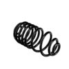 EAN / GTIN4050278091251
