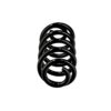 Fitting PositionRear AxleSpring DesignCoil spring with constant wire diameterSuspensionfor vehicles without sports suspensionCheck OE numberColour coding see PDFreplacement in pairs recommendedWire Diameter [mm]15.8Length [mm]304Number of coils6.8
