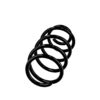 Fitting PositionFront AxleSpring DesignCoil spring with constant wire diameterSuspensionfor vehicles without sports suspensionSuspensionfor vehicles without heavy duty suspensionCheck OE numberColour coding see PDFreplacement in pairs recommendedWire Diameter [mm]15.8Length [mm]358Number of coils5.2