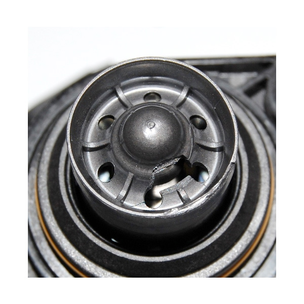 <li><strong>Covered by the Forge Lifetime Warranty*</strong></li>