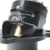 the DVX is the only choice.