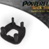 Vehicle Fitments
