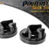 Vehicle Fitments