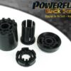 Vehicle Fitments