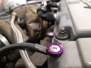 OEM bolts start to rust